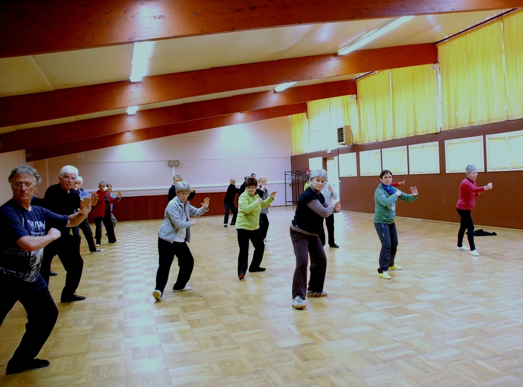 Taichi vincent Chu 2013 0014 ETC 22 Tai Chi Chuan