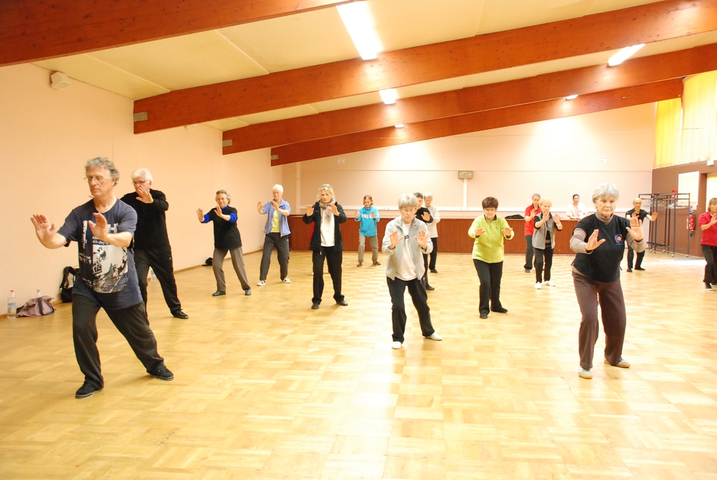 Taichi vincent Chu 2013 0018 ETC 22 Tai Chi Chuan